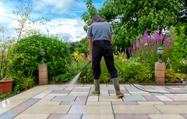 Best Boat and Dock Cleaning  in Oak Hills, CA